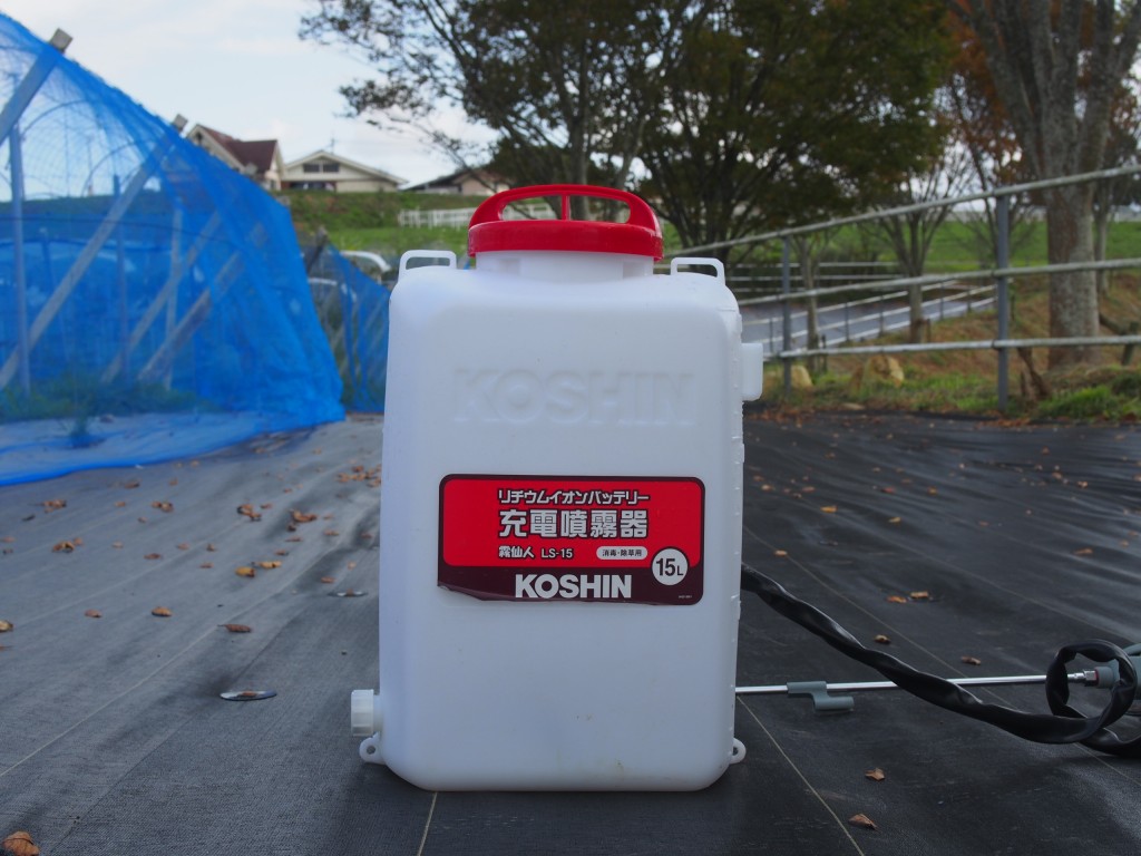 岡山吉備中央町ぶどうピオーネ