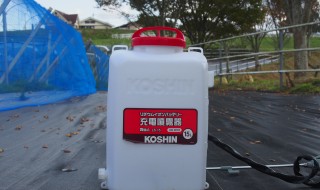 岡山吉備中央町ぶどうピオーネ