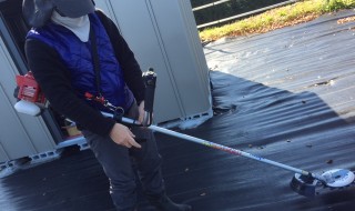 アグリスジャパン天空のピオーネ農園