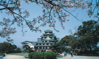 岡山吉備中央町ぶどうピオーネ