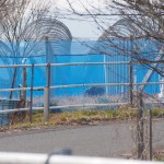 岡山吉備中央町ぶどうピオーネ