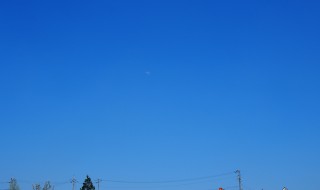 岡山吉備中央町ぶどうピオーネ