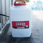 岡山吉備中央町ぶどうピオーネ