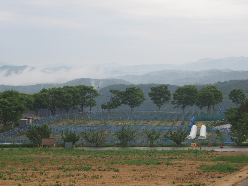 岡山吉備中央町ぶどうピオーネ