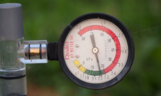 岡山吉備中央町ぶどうピオーネ