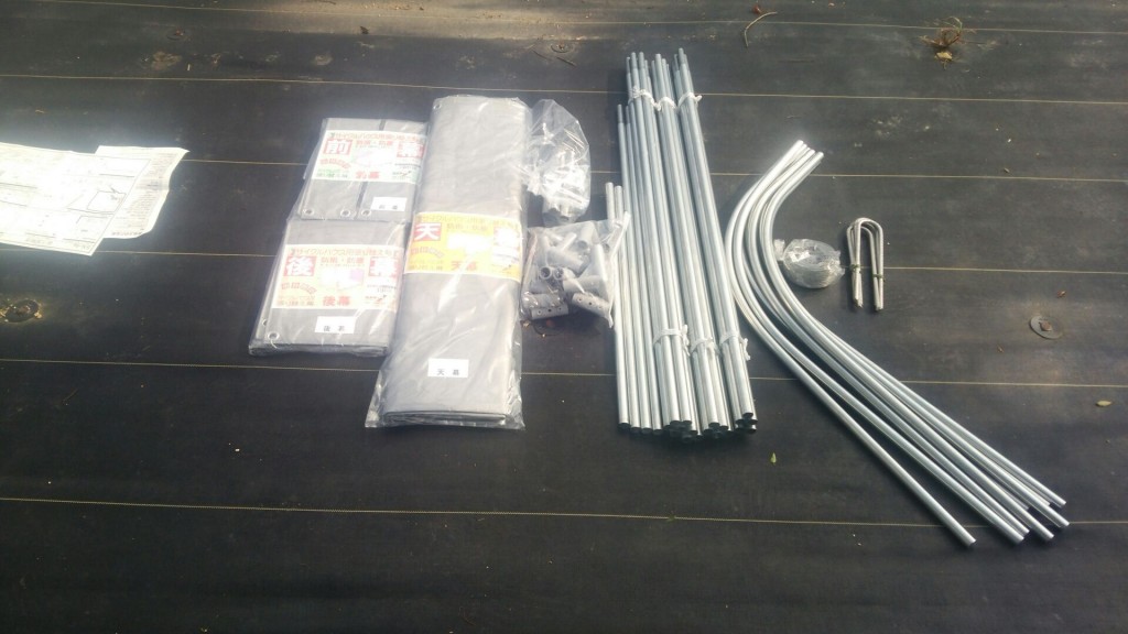 岡山吉備中央町ぶどうピオーネ