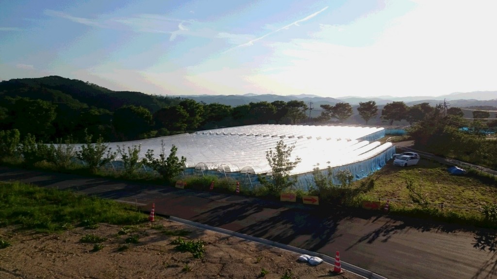 岡山吉備中央町ぶどうピオーネ