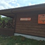 岡山吉備中央町ぶどうピオーネ