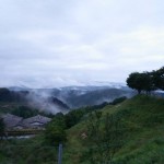 岡山吉備中央町ぶどうピオーネ