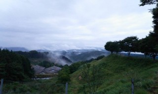 岡山吉備中央町ぶどうピオーネ