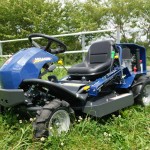 岡山吉備中央町ぶどうピオーネ