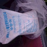 岡山吉備中央町ぶどうピオーネ