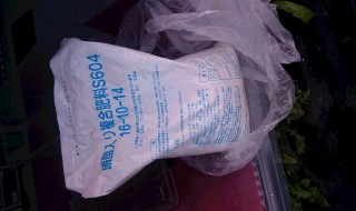 岡山吉備中央町ぶどうピオーネ