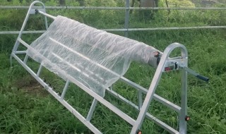 岡山吉備中央町ぶどうピオーネ