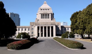 岡山吉備中央町ぶどうピオーネ