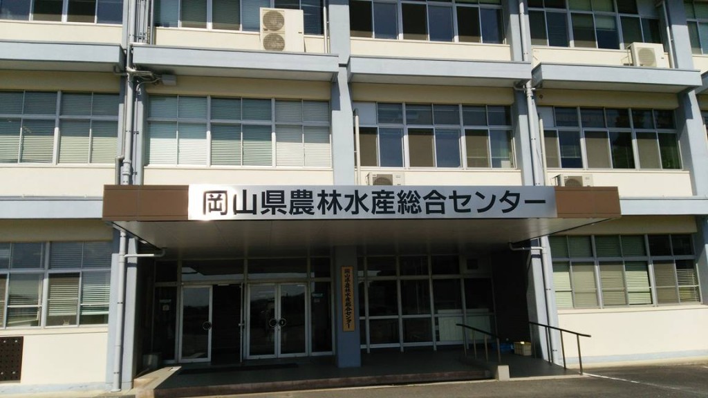 岡山吉備中央町ぶどうピオーネ