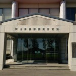 岡山吉備中央町ぶどうピオーネ