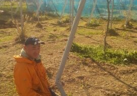 アグリスジャパン天空のピオーネ農園