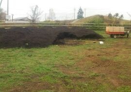 アグリスジャパン天空のピオーネ農園