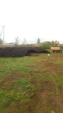 アグリスジャパン天空のピオーネ農園