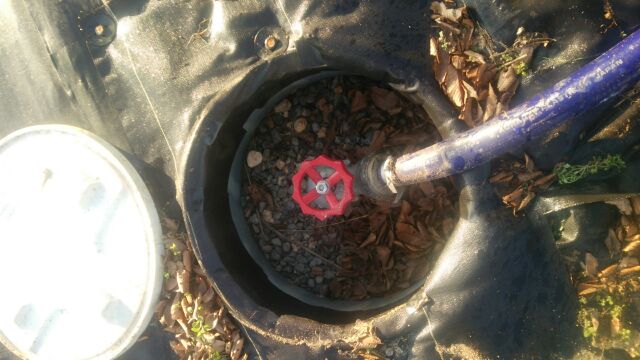 アグリスジャパン天空のピオーネ農園