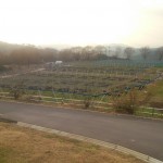 アグリスジャパン天空のピオーネ農園