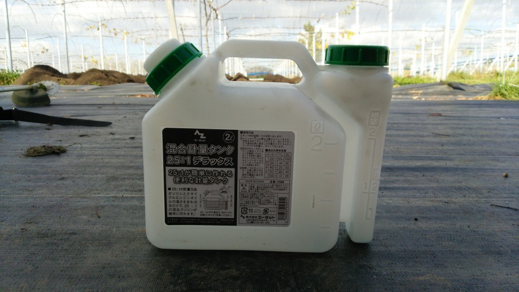 岡山吉備中央町ぶどうピオーネ