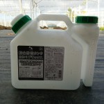 岡山吉備中央町ぶどうピオーネ