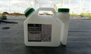 岡山吉備中央町ぶどうピオーネ