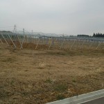 岡山吉備中央町ぶどうピオーネ