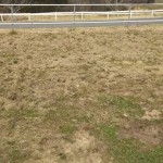 アグリスジャパン天空のピオーネ農園