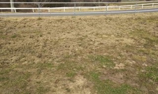 アグリスジャパン天空のピオーネ農園