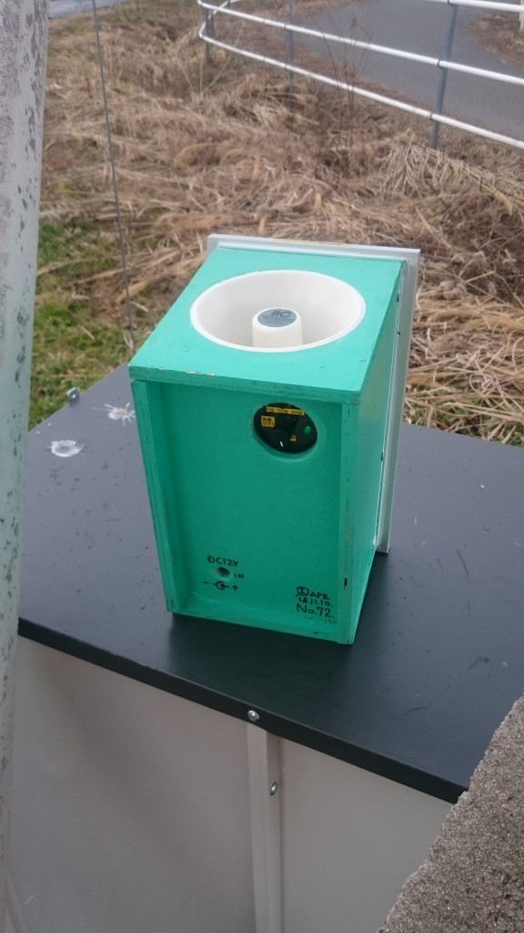 岡山吉備中央町ぶどうピオーネ