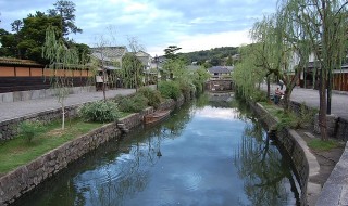 岡山吉備中央ぶどうピオーネシャインマスカット