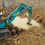 岡山吉備中央町ぶどうピオーネ