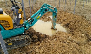 岡山吉備中央町ぶどうピオーネ