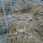 岡山吉備中央ぶどうピオーネシャインマスカット