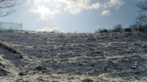 岡山吉備中央ぶどうピオーネシャインマスカット