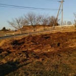 岡山吉備中央ぶどうピオーネシャインマスカット