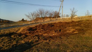 岡山吉備中央ぶどうピオーネシャインマスカット