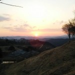 岡山吉備中央ぶどうピオーネシャインマスカット