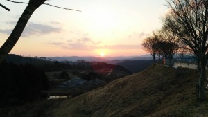 岡山吉備中央ぶどうピオーネシャインマスカット