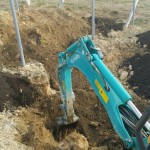 岡山吉備中央ぶどうピオーネシャインマスカット