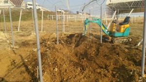 岡山吉備中央ぶどうピオーネシャインマスカット