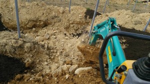 岡山吉備中央ぶどうピオーネシャインマスカット