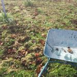 アグリスジャパン天空のピオーネ農園