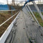 雑草対策パネル