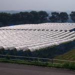 アグリスジャパン天空のピオーネ農園