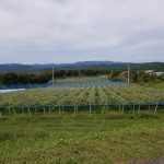 アグリスジャパン天空のピオーネ農園